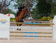 CHIMIRRI V GINGER CampITA2013- S5 1427 : CHIMIRRI VINCENZO, Campionati Italiani 2013, Cattolica, GINGER, Horse Riviera Resort, foto di Stefano Secchi ©
